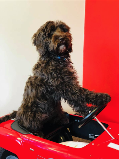 Auto Insurance Agency «State Farm: Aaron Starwalt», reviews and photos