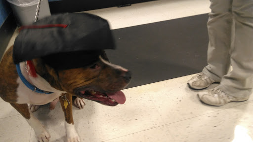 Pet Supply Store «PetSmart», reviews and photos, 7355 Market Pl Dr, Aurora, OH 44202, USA