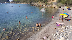 Spiaggia del Viticcio'in fotoğrafı ve yerleşim
