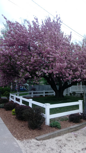 Park «Parks Lake», reviews and photos, Academy St, Rockaway, NJ 07866, USA