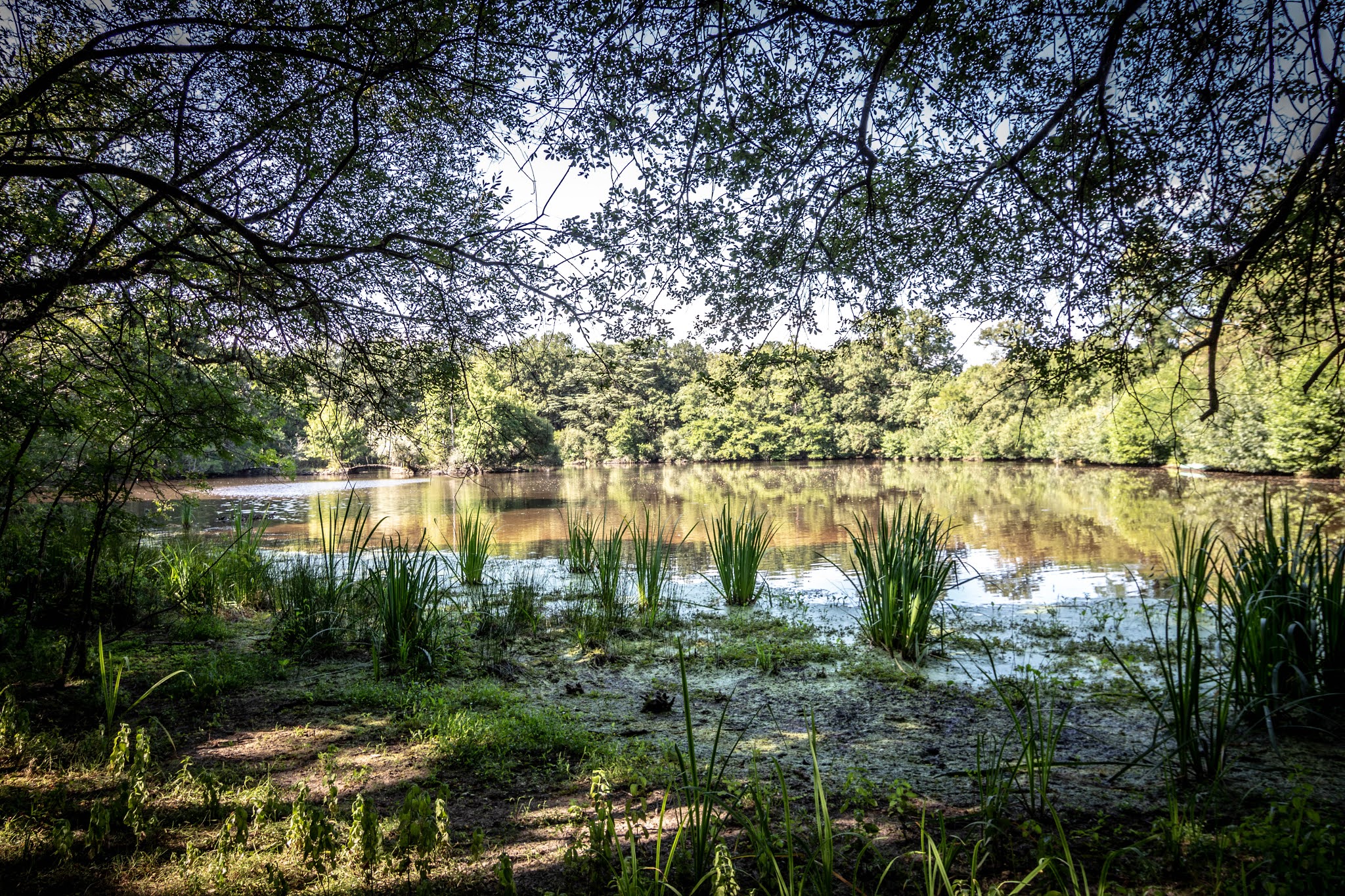 Photo n° 1 de l'avis de Kevin.e fait le 22/07/2020 à 05:27