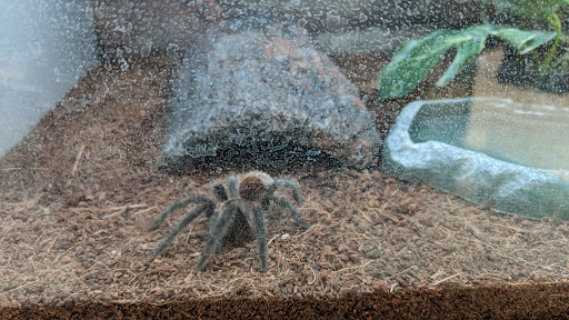 Pet Supply Store «Petco Animal Supplies», reviews and photos, 11639 S Pkwy Plaza Dr, South Jordan, UT 84095, USA