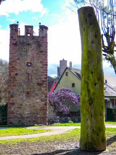 Parc Albert Schweitzer à Kaysersberg