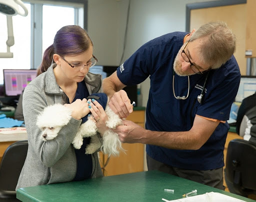 Kronenwetter Veterinary Care image