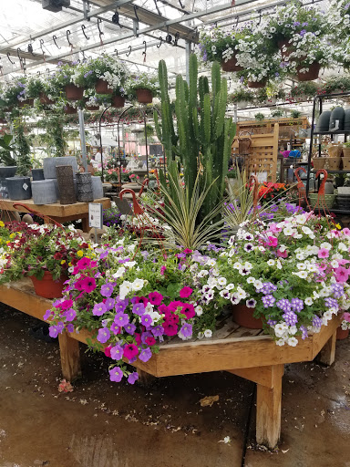 Garden Center «Blooms at Belle Mead», reviews and photos, 1980 US-206, Belle Mead, NJ 08502, USA