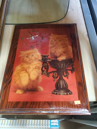 Non-Profit Organization «Donation Nation», reviews and photos