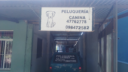 Peluquería Canina