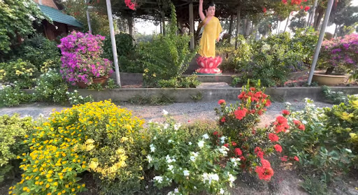 Top 20 mẫu cửa hàng đẹp Huyện Tịnh Biên An Giang 2022