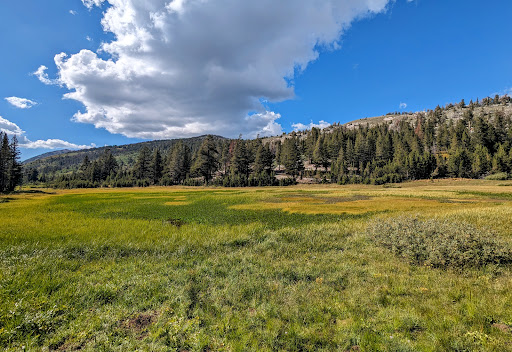 Tahoe Meadows Tahoe Rim Trail Trailhead