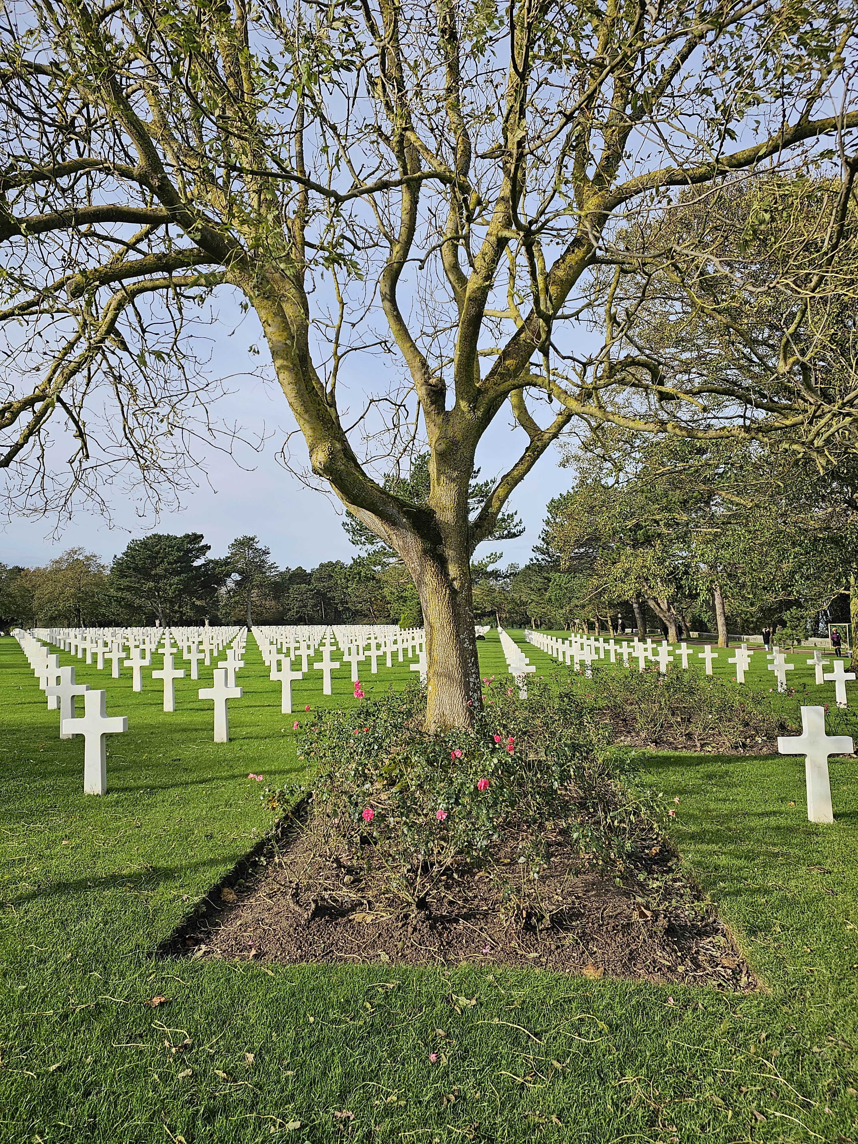 Photo n° 13 de l'avis de Mags. fait le 11/11/2023 à 17:03