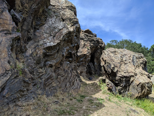 Park «Glen Canyon Park», reviews and photos, Elk St and Chenery St, San Francisco, CA 94127, USA