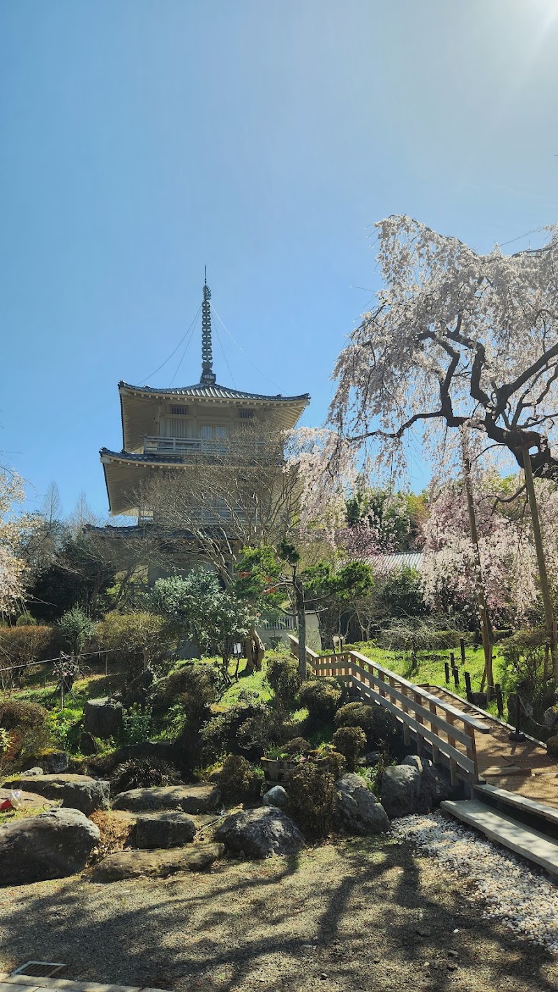 五ヶ瀬のしだれ桜