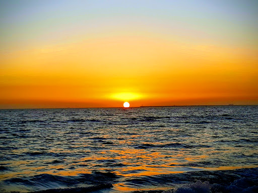 Market «Dolphin Market», reviews and photos, 1430 Ocean Ave, Seal Beach, CA 90740, USA