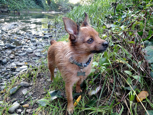 2084 Sir Francis Drake Blvd, Fairfax, CA 94930, USA