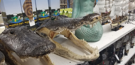 Souvenir Store «Green Turtle Shell & Gift Shop», reviews and photos, 701 Gulf Dr N, Bradenton Beach, FL 34217, USA