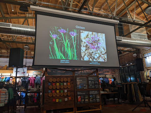 Clothing Store «Patagonia Outlet Reno», reviews and photos, 130 S Center St, Reno, NV 89501, USA