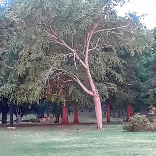Park «Bowman Springs Park», reviews and photos, 7003 W Poly Webb Rd, Arlington, TX 76016, USA