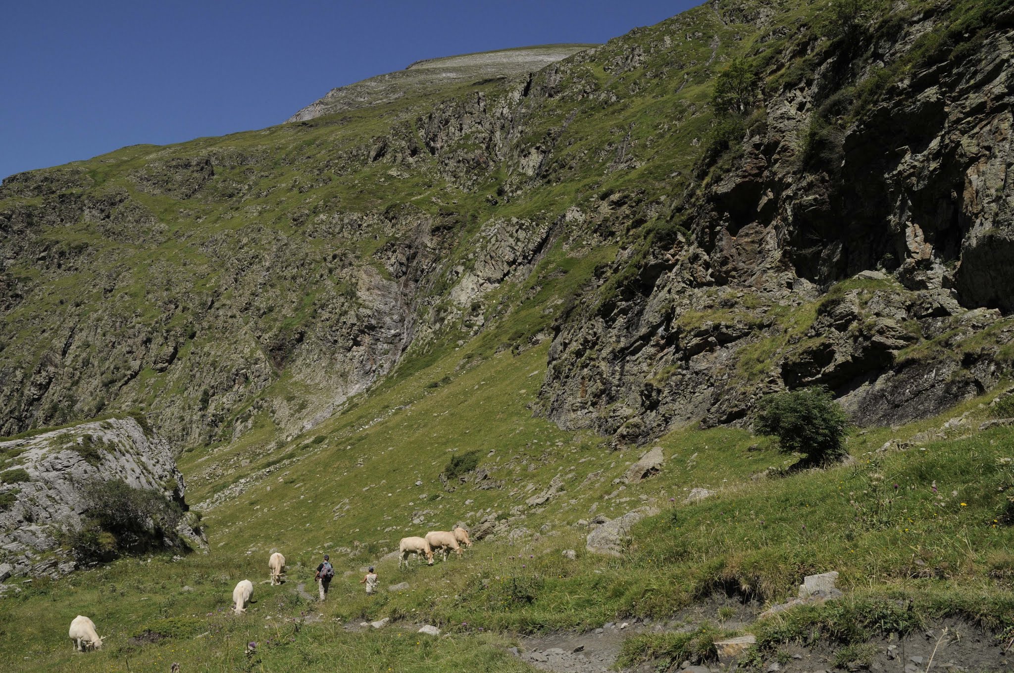 Photo n° 39 de l'avis de pierre.r fait le 26/02/2019 à 00:54