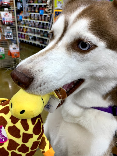 Pet Supply Store «PetSmart», reviews and photos, 157 Levittown Pkwy B, Levittown, PA 19055, USA
