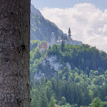 Photo n°2 de l'avis de Peter.a fait le 09/08/2021 à 13:27 sur le  Reith-Alpe Schwangau à Schwangau