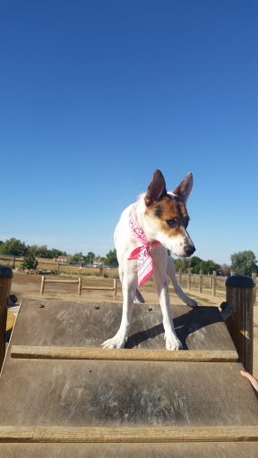 Dog Park «Grandview Dog Park», reviews and photos, 17500 E Quincy Ave, Aurora, CO 80015, USA