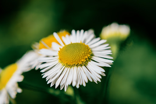 Nature Preserve «Beanblossom Bottoms Nature Preserve - Sycamore Land Trust», reviews and photos, N Woodall Rd, Ellettsville, IN 47429, USA