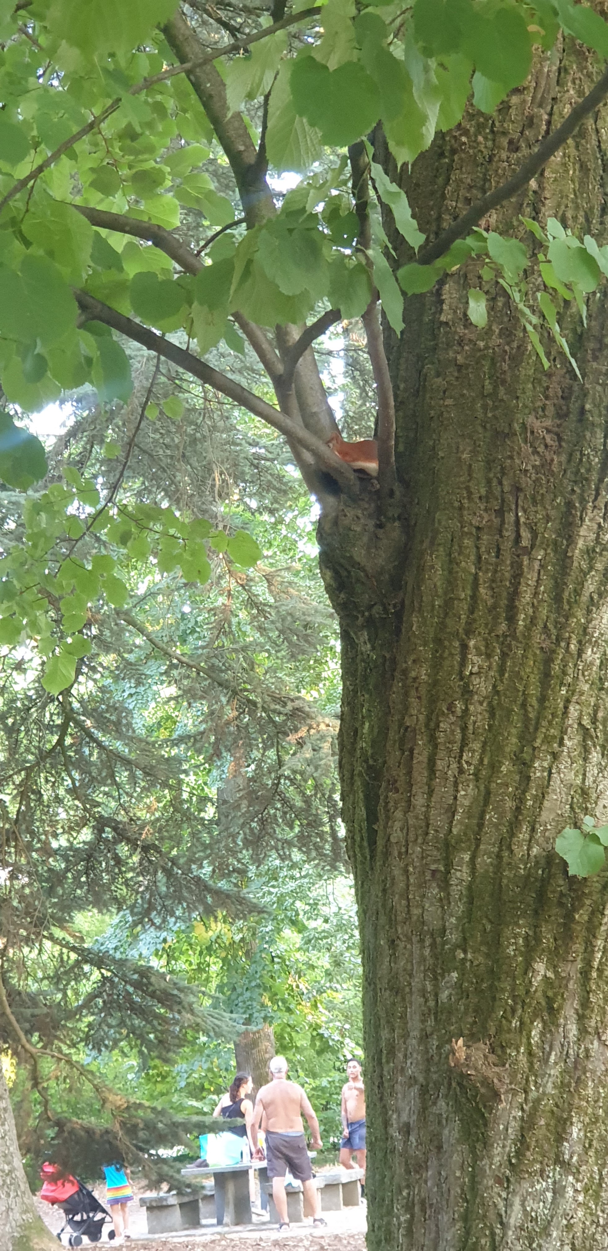 Photo n° 4 de l'avis de Mme.U fait le 09/08/2022 à 13:34