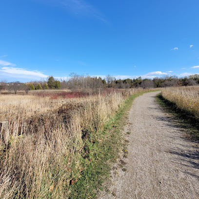 Downey Trail