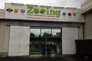 Zooing Pisa - Supermarket for Pets image