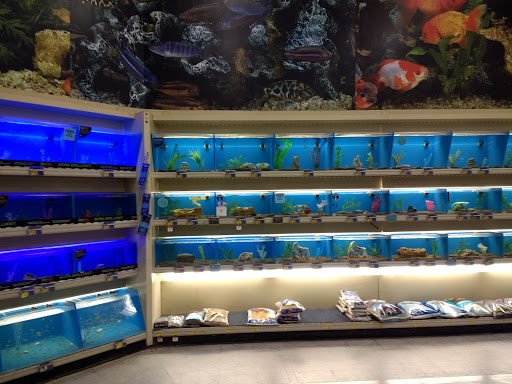 Pet Supply Store «PetSmart», reviews and photos, 934 W Street Rd, Warminster, PA 18974, USA