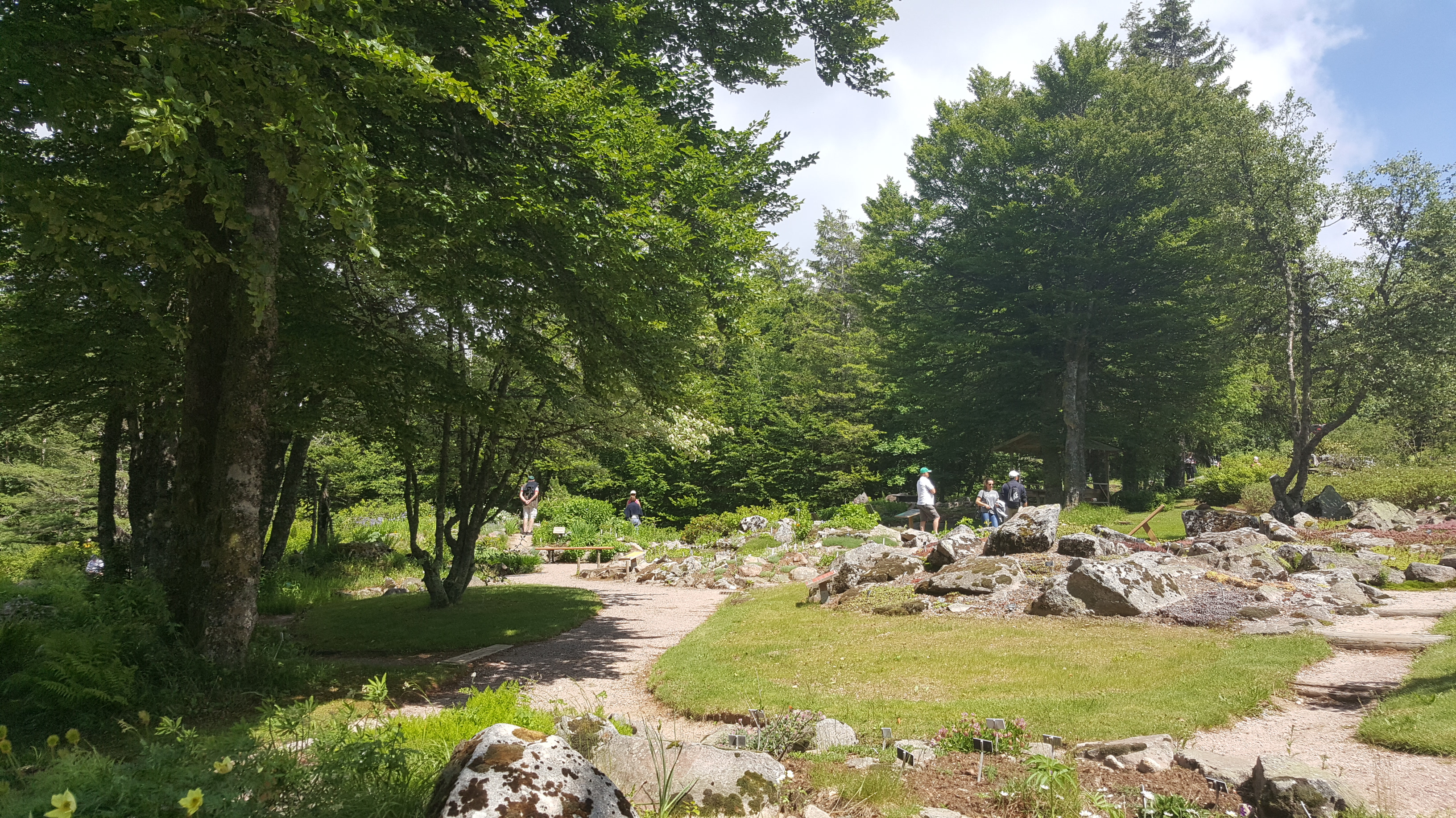 Photo n° 43 de l'avis de Jean-Sébastien.O fait le 23/06/2019 à 16:49