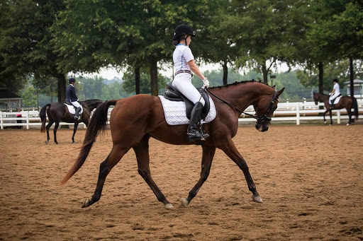 Ellenwood Equestrian Center