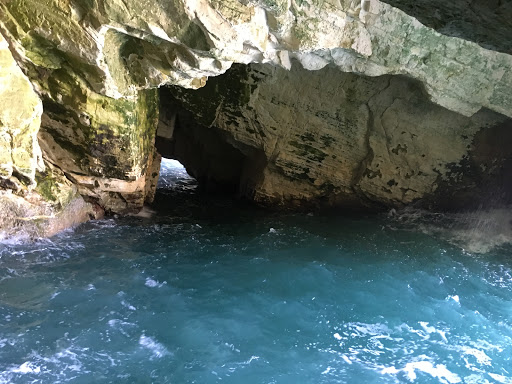 Travel Agency «Cruise Planners - Cruise our way and travel», reviews and photos, 17180 Mallard Ct, Eden Prairie, MN 55346, USA