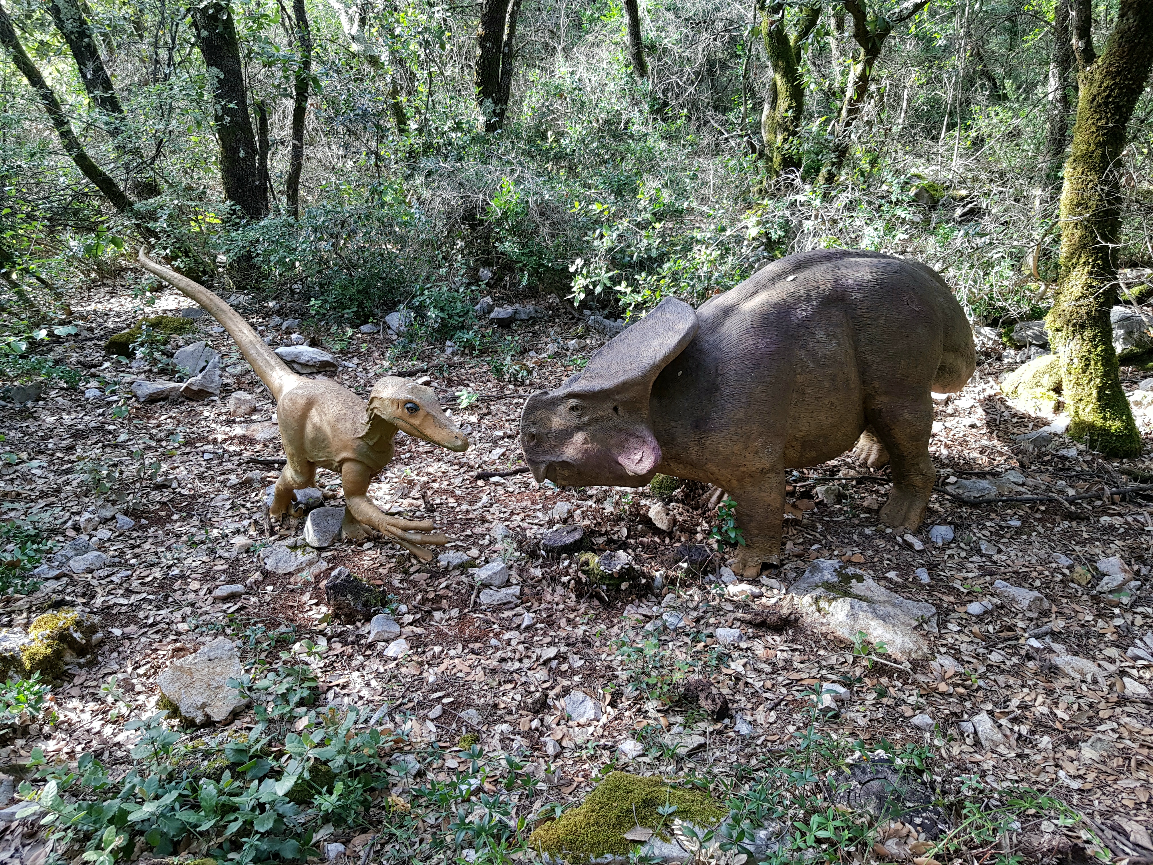 Photo n° 11 de l'avis de Dominique.o fait le 19/08/2021 à 11:21