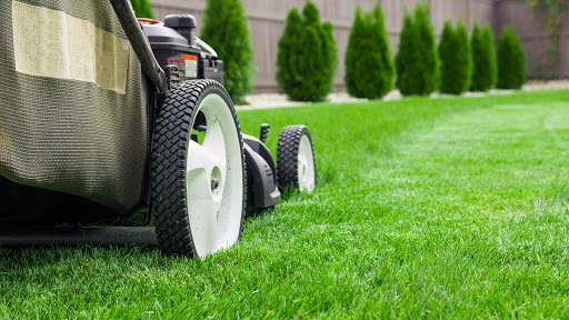 Lawn care service Fort Worth