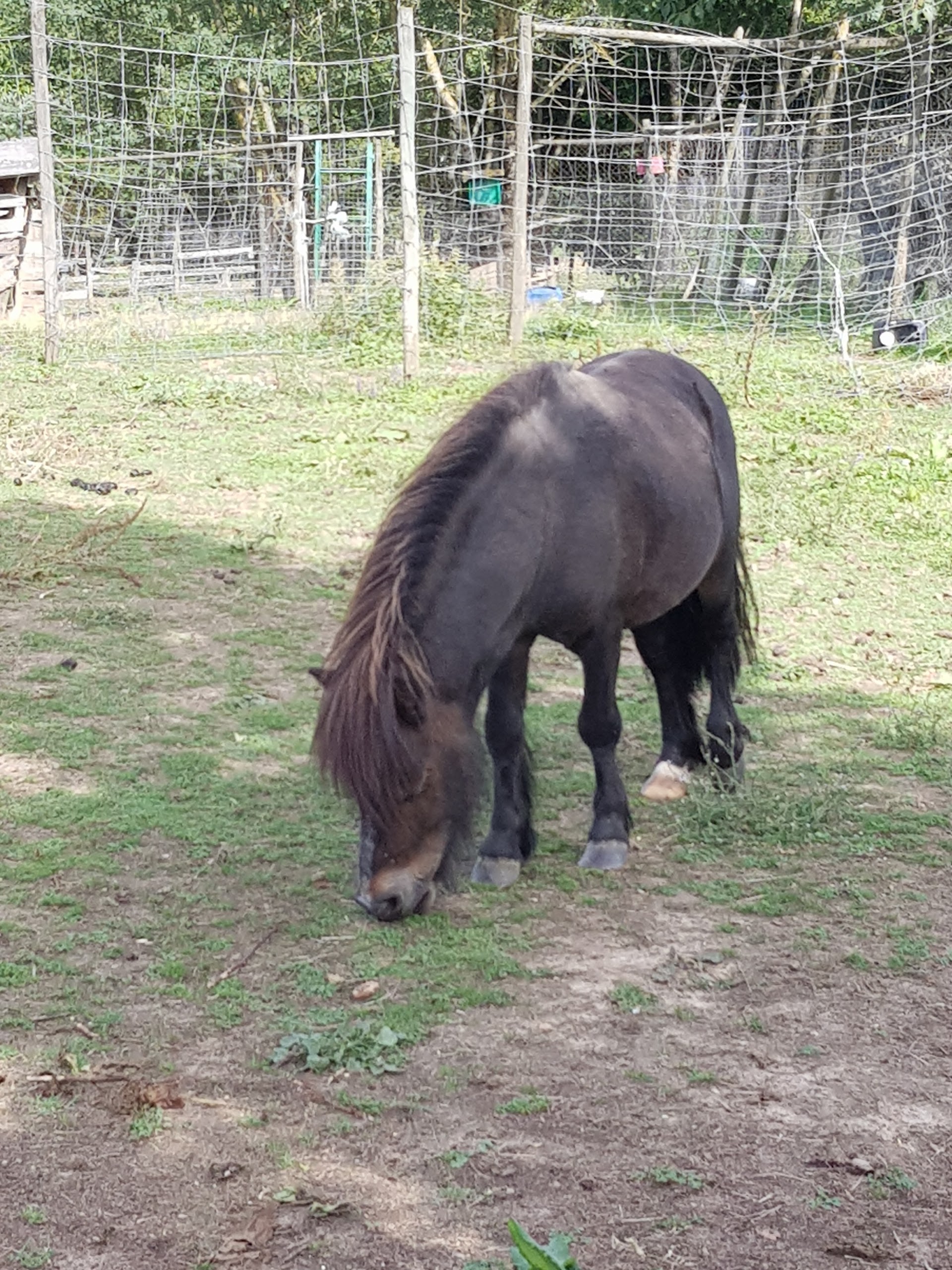 Photo n° 2 de l'avis de Gribs. fait le 13/08/2017 à 17:24