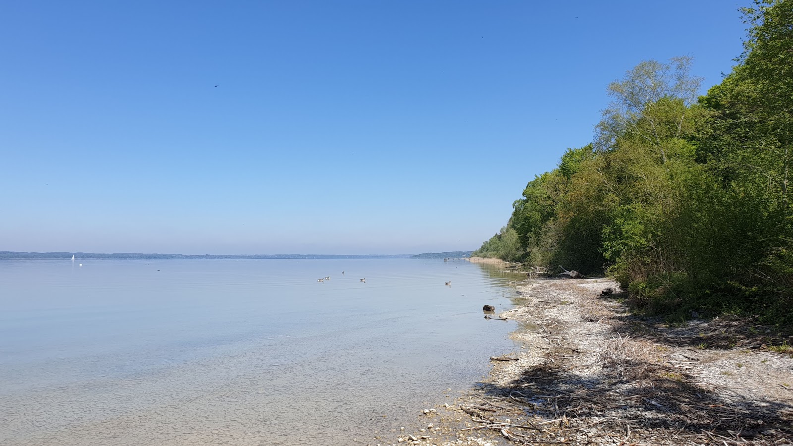 Photo de Erholungsgebiet Wartaweil avec sable brillant et rochers de surface