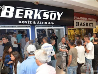 Berksoy Döviz Altın Yetkili Müessese A.Ş - Western Union