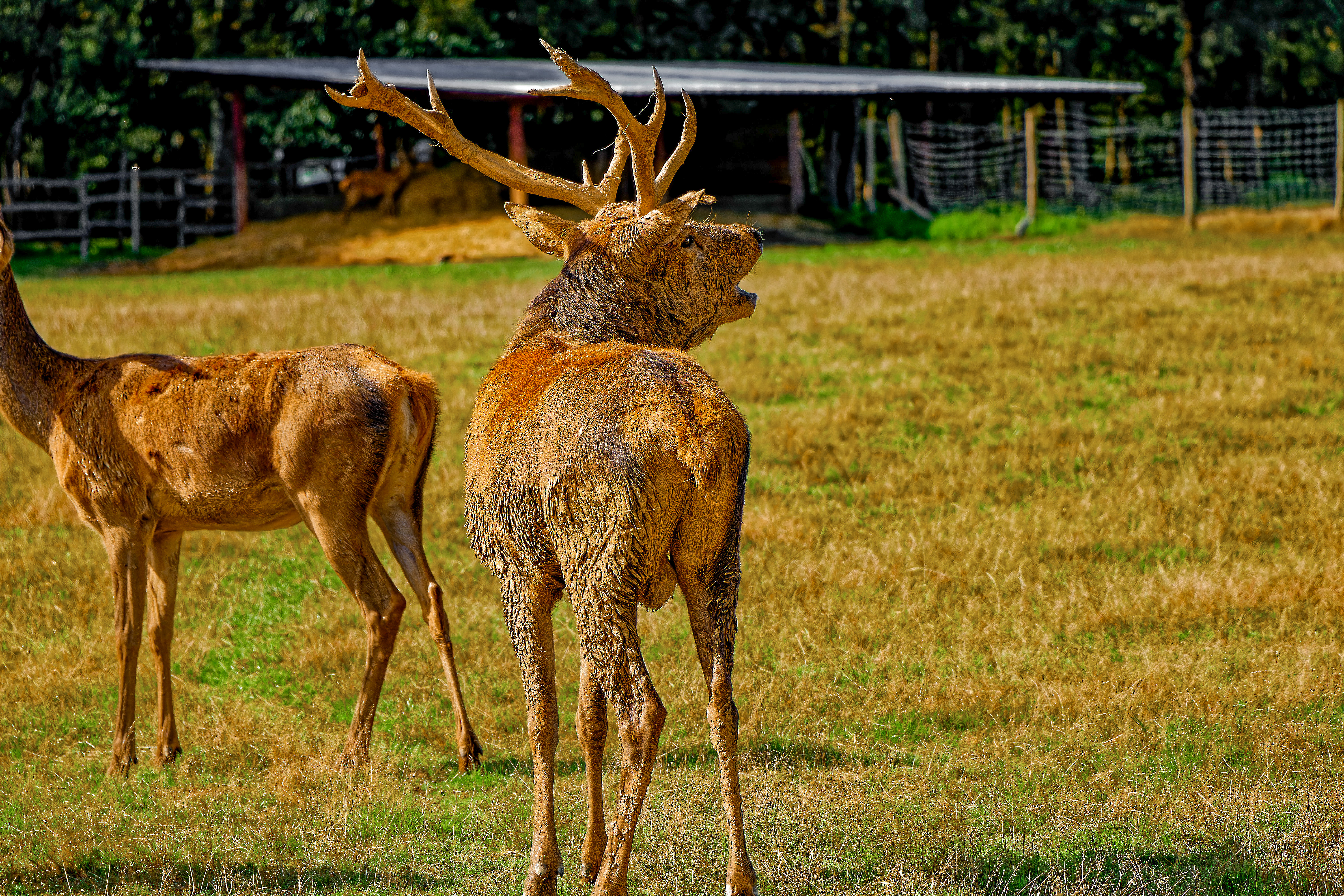 Photo n° 2 de l'avis de Eloise. fait le 23/10/2023 à 07:47