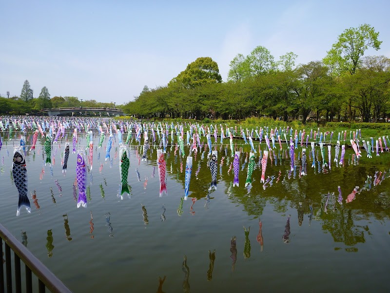 くつろぎの広場