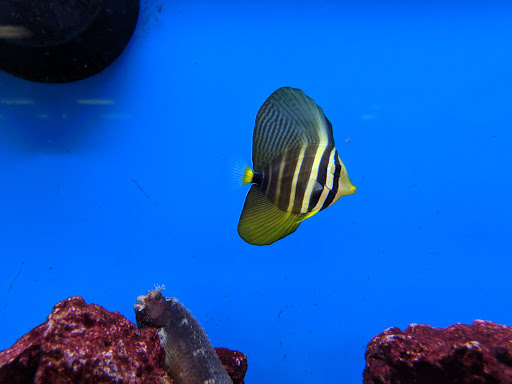 Pet Supply Store «Petco Animal Supplies», reviews and photos, 13691 Ridgedale Dr, Minnetonka, MN 55305, USA