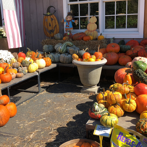 Garden Center «Copia Home and Garden», reviews and photos, 475 Smith Ridge Rd, South Salem, NY 10590, USA