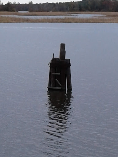 Nature Preserve «Maurice River Bluffs Preserve», reviews and photos, Silver Run Rd, Millville, NJ 08332, USA