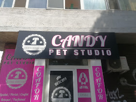 CANDY PET STUDIO
