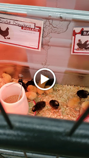 Home Improvement Store «Tractor Supply Co.», reviews and photos, 99 Worcester-Providence Turnpike, Millbury, MA 01527, USA