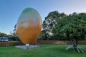 The Big Mango image