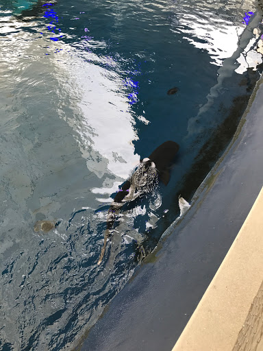 Park «Museum Park», reviews and photos, 1075 Biscayne Blvd, Miami, FL 33132, USA