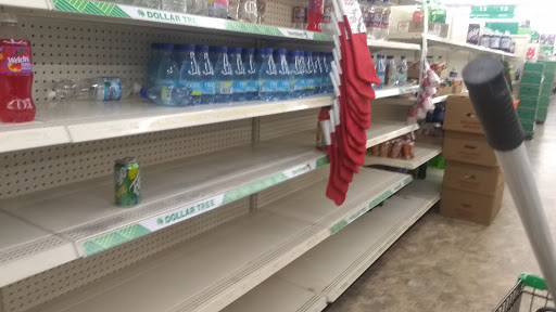 Dollar Store «Dollar Tree», reviews and photos, 7001 Cermak Rd, Berwyn, IL 60402, USA