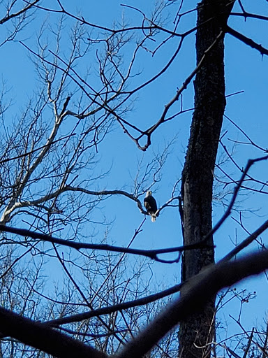 Nature Preserve «Kokiwanee Nature Preserve», reviews and photos, 5825 E 50 S, Lagro, IN 46941, USA