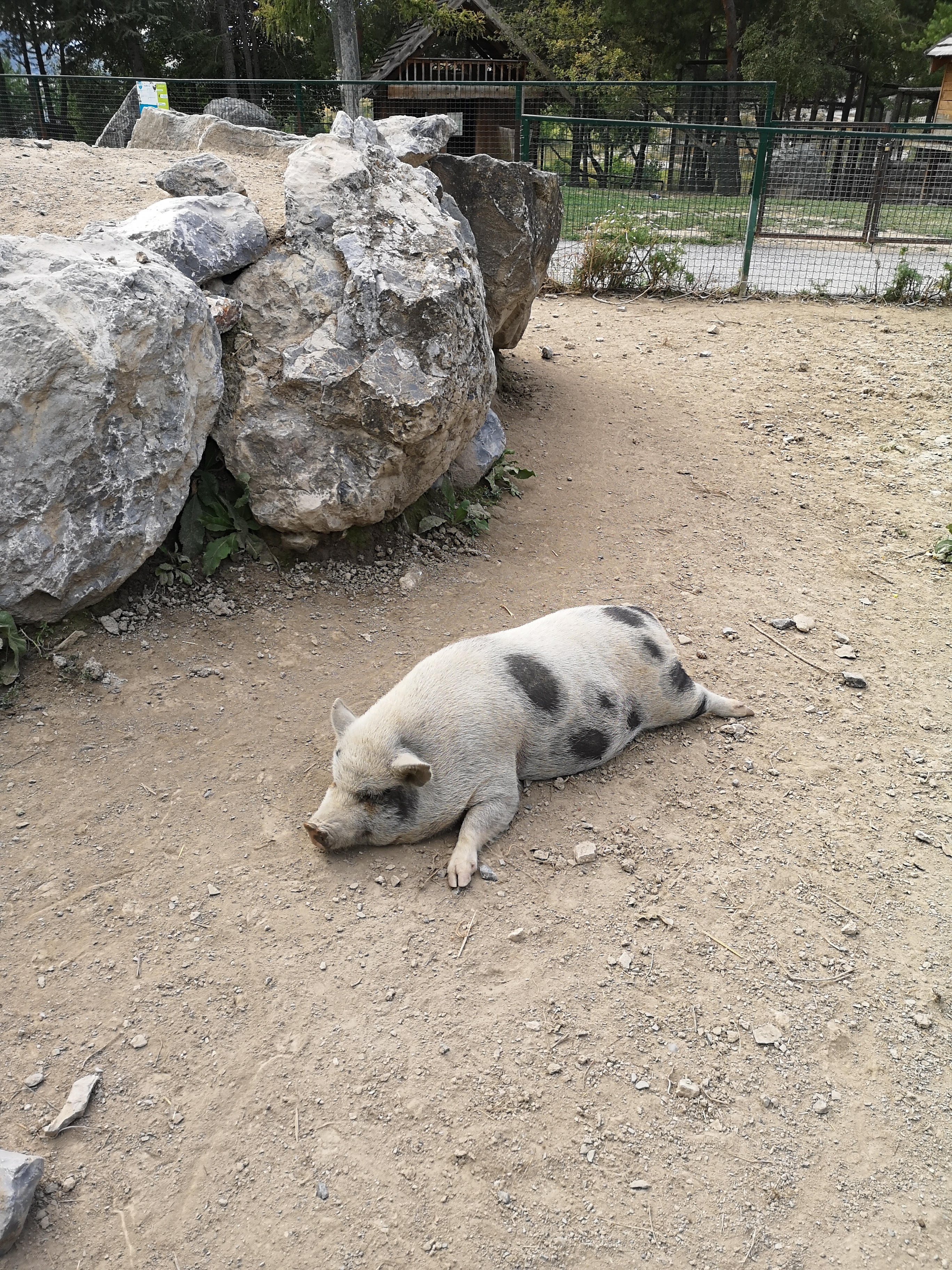 Photo n° 3 de l'avis de Quentin.l fait le 08/09/2020 à 20:54